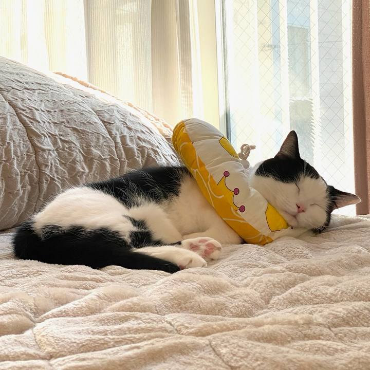 Ae092e0c 9e41 46d2 85fd 55d8f6fbccd2 1764023959008