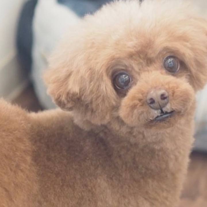 Ae097f5f 1537 4c7c 9935 f82ff46d16ae 1681688827060