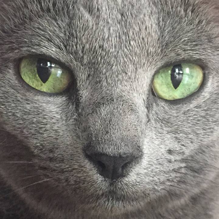 Ae09baa1 66ad 45dc 911c b02c865f157d 1533952149353