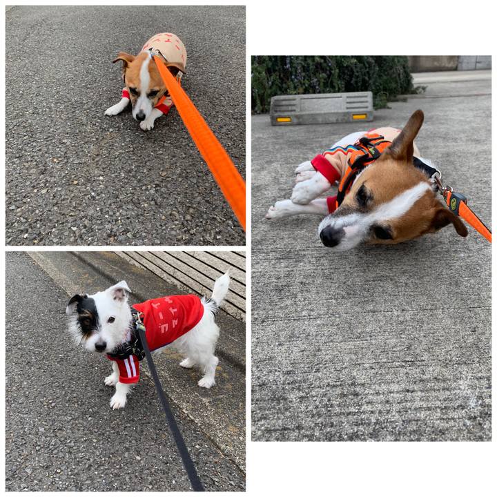 Ae09d580 c5e6 416a 881e 4936ca975b9e 1550708192093