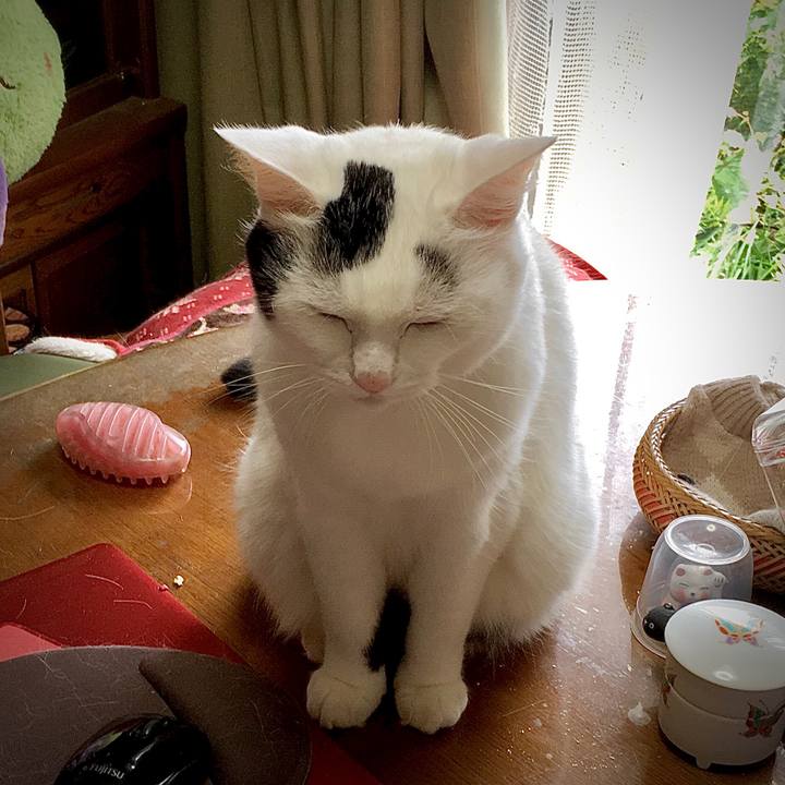 Ae0a4487 c82a 4e51 a94f fe9f13f41ed2 1571724928143