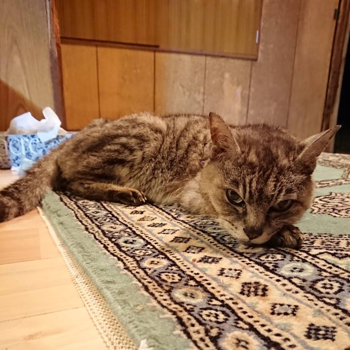 Ae0a5dfa 315a 463d 9531 785ae52619c0 1598875105306