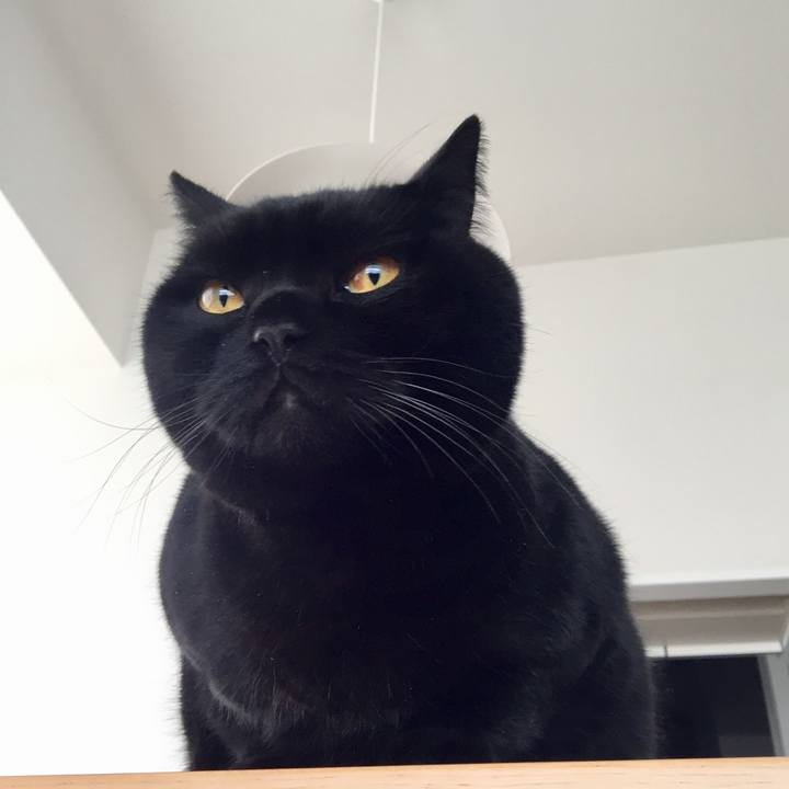 Ae0a6d2a fedc 44d7 a878 c279515a8fec 1579912012230