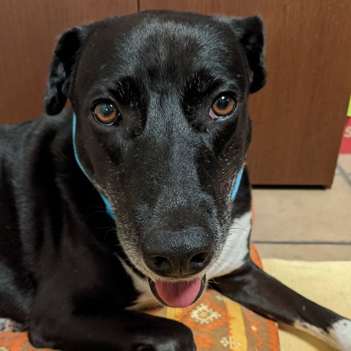 Ae0a6edc a74c 4069 b705 8563d6ae7e7d 1663324688995