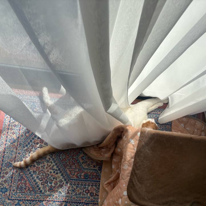 Ae0a77cd 024d 487c a7ad 5e942696a21f 1773039498873