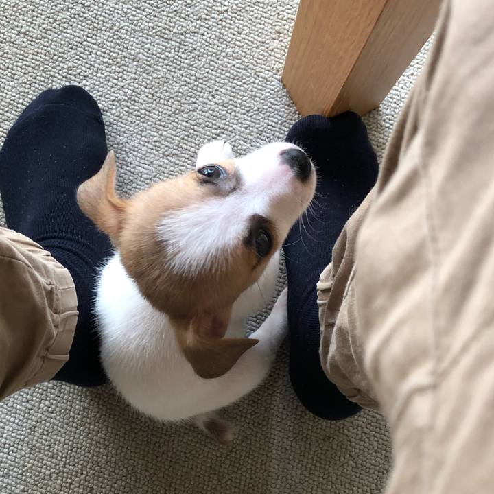 Ae0a908e f1fc 4374 84cf 66c92340245d 1543193905127