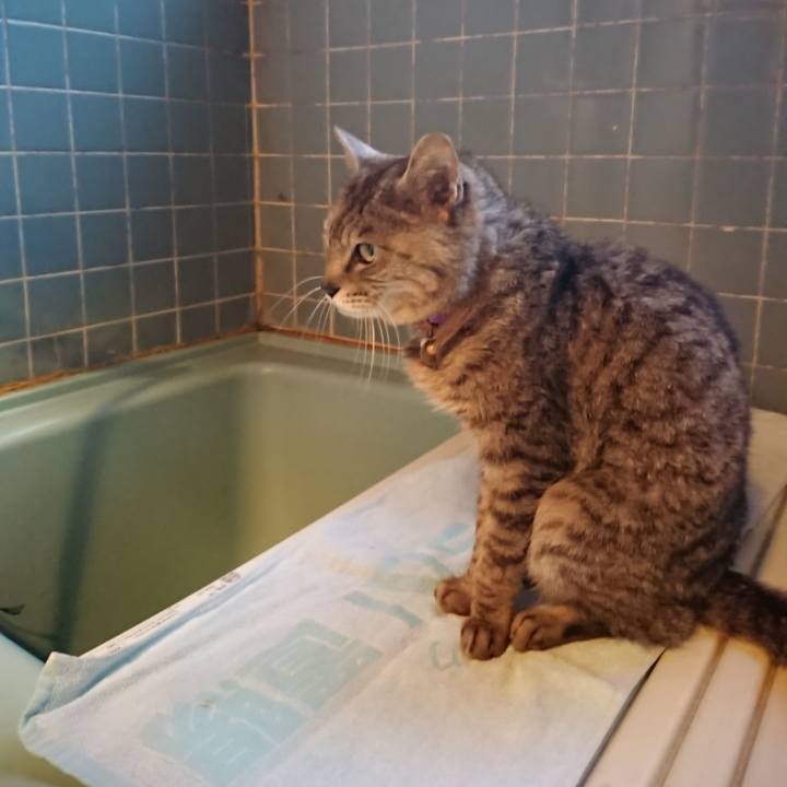 Ae0ad2f6 61ac 4f4b be00 6978fcc8113b 1591869502144