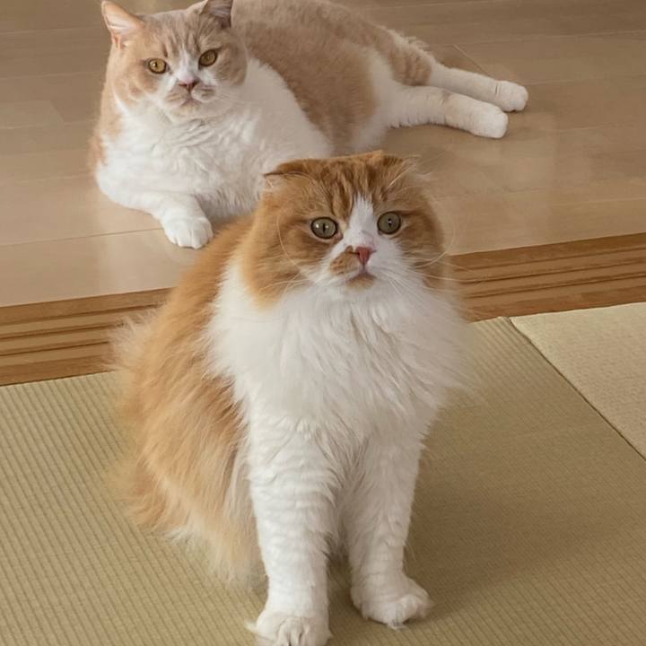 Ae0b0412 3764 4903 82ad 08ca2b43f93b 1672454371186