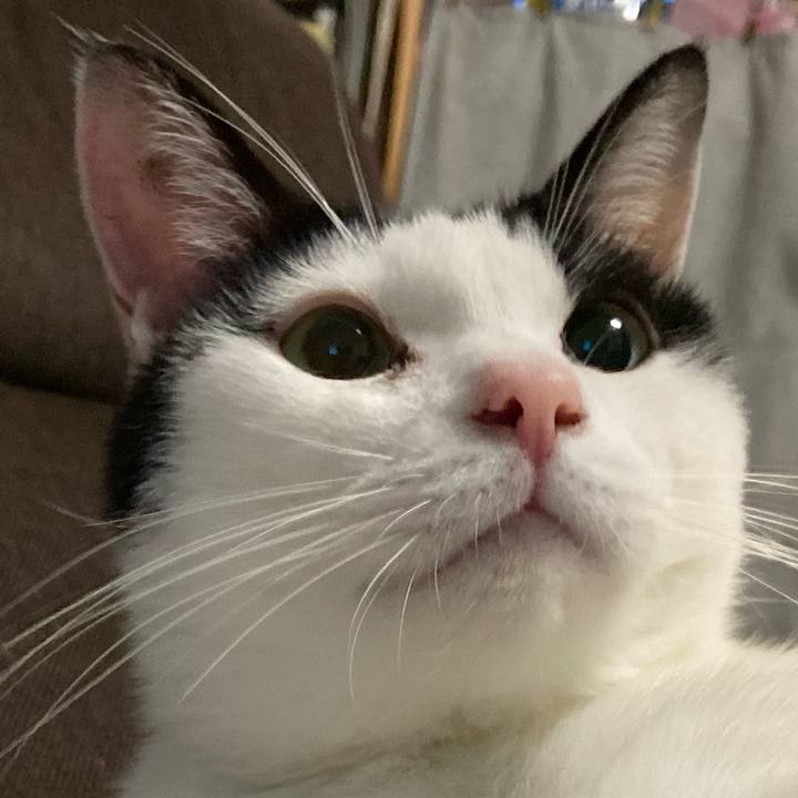 Ae0b1396 0911 469b be8f e3fb17c01ed8 1604319261078