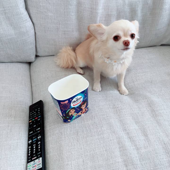 Ae0b24e5 a300 421d b330 add58479aacd 1694505153182