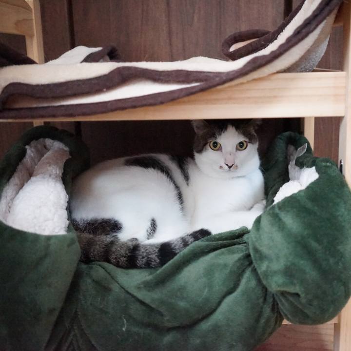 Ae0b3658 cc90 4d8b b340 40a80b2addff 1539647872027