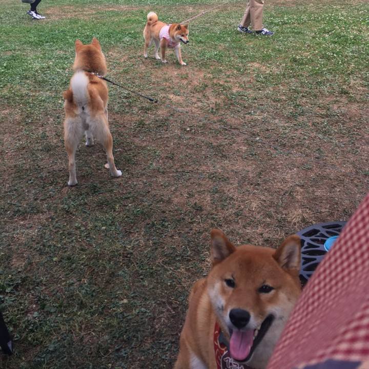 Ae0b4724 d43b 4d1c a52a 306862a81993 1558329779655