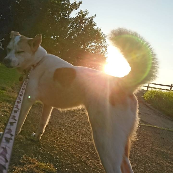 Ae0b55c2 38c5 4da3 bb7e 09fbb85db186 1565315560986