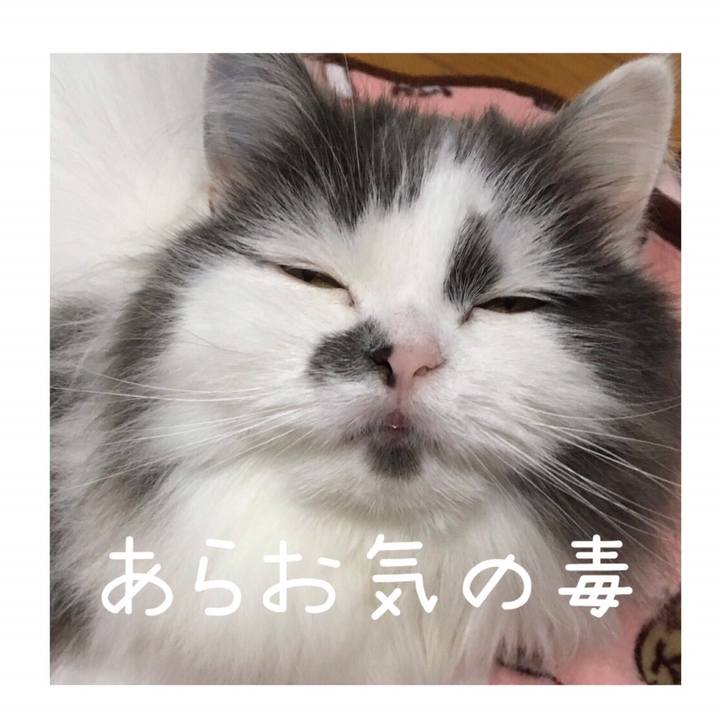 Ae0b5614 2da3 4504 8667 74b126f3d0b2 1566720360497