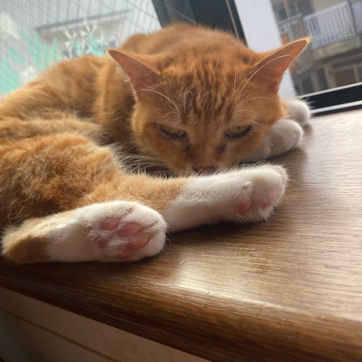 Ae0b5f39 3c5a 45e5 a453 5365c5787bad 1632351383830