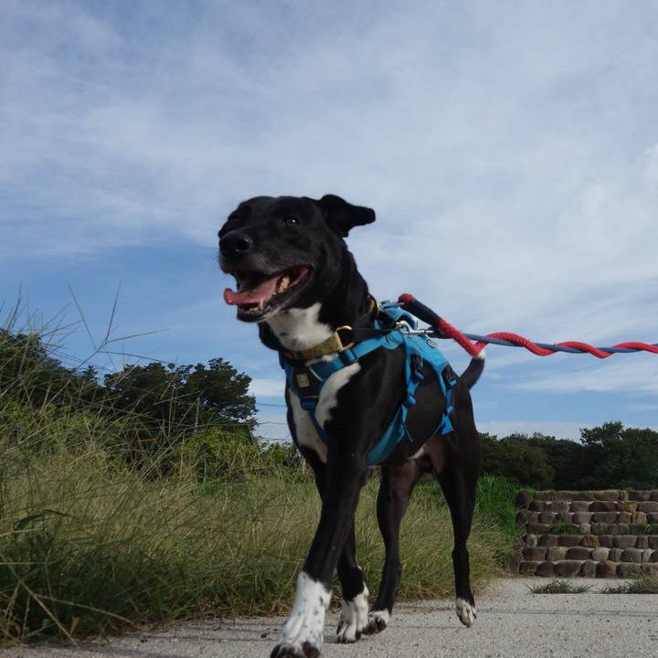 Ae0b8137 c69f 4b5e b2dc 7af51aed3c59 1631061399581