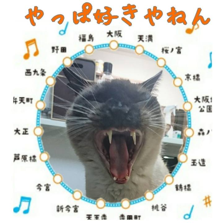 Ae0b81c7 581d 4444 9ae1 ac1200509df9 1551183511755