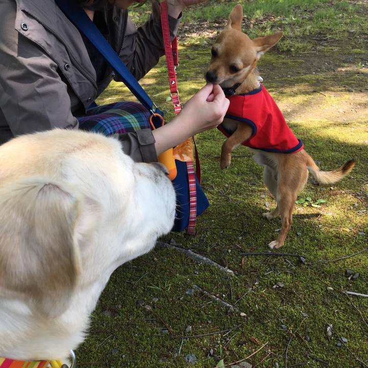 Ae0c03ac 1ddf 4b90 a5c2 f49f1266be91 1525511450125