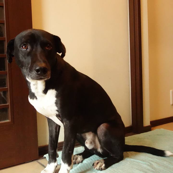 Ae0c16c3 2125 471b aa84 fa469046e7bb 1609928486123