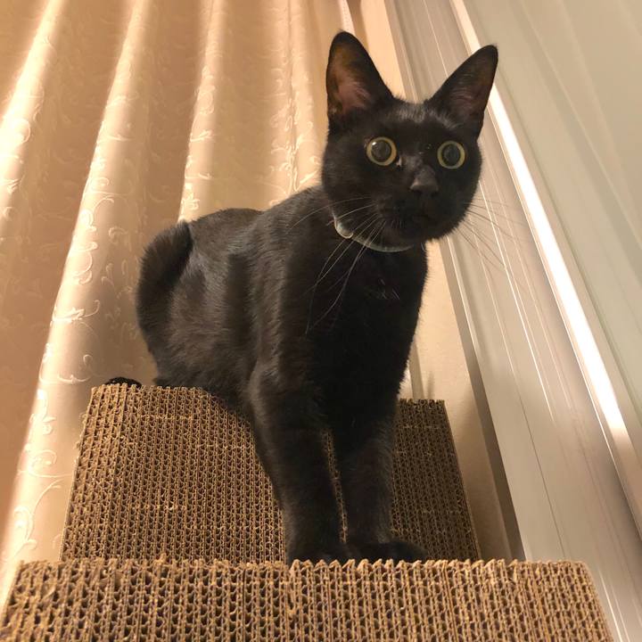 Ae0c19d9 4595 42b7 ae97 b33982c62f6b 1568722085659