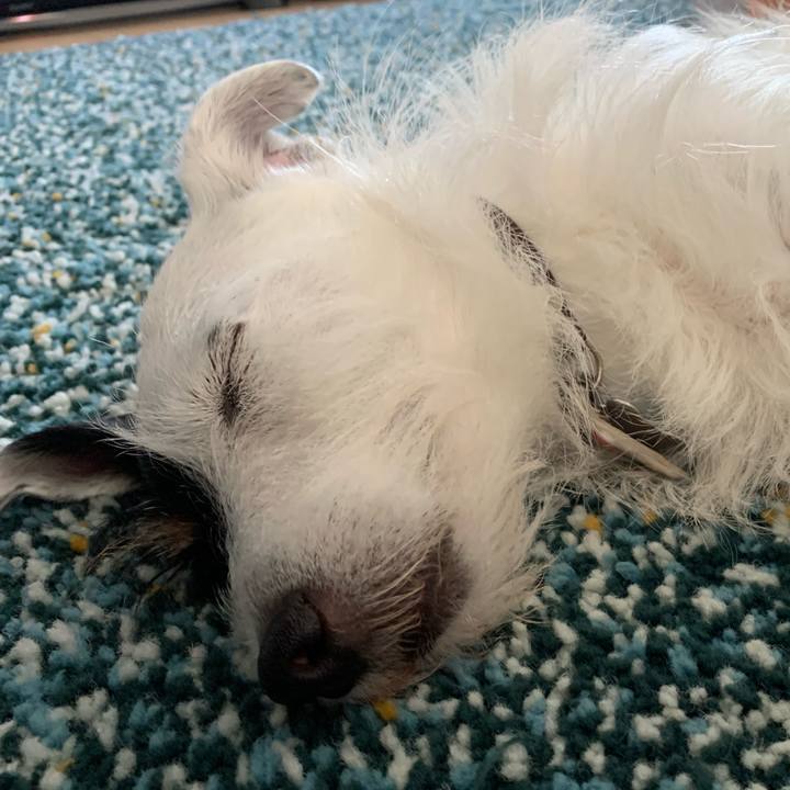 Ae0c2f09 8262 4923 9019 fbbe1e7e3fd2 1629872123157