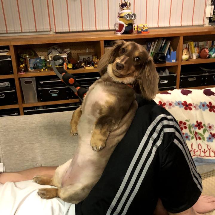 Ae0c39c6 9d31 4d77 80fa ebb4053cc871 1560573351107