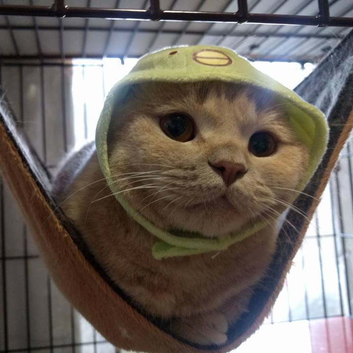 Ae0c4db4 a974 4fd8 aba0 c9587c383dec 1536665279660