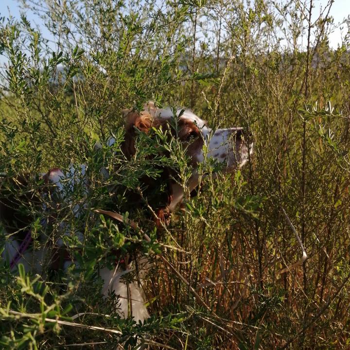 Ae0c5c3f c463 41e0 bfa5 e4ae1c2a8d6b 1599566282059