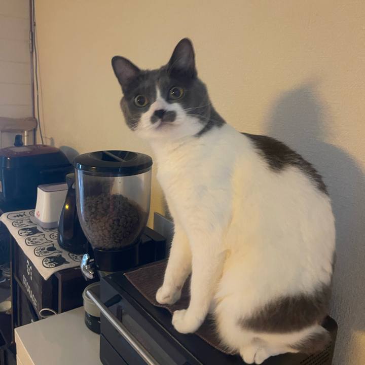 Ae0c67a4 a036 4b36 965f 9abe94e4c821 1758502834948