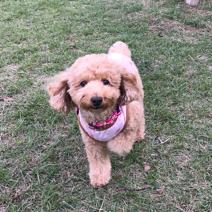 Ae0c68a0 ea44 4fd0 b7af 0050a4315160 1539349180549