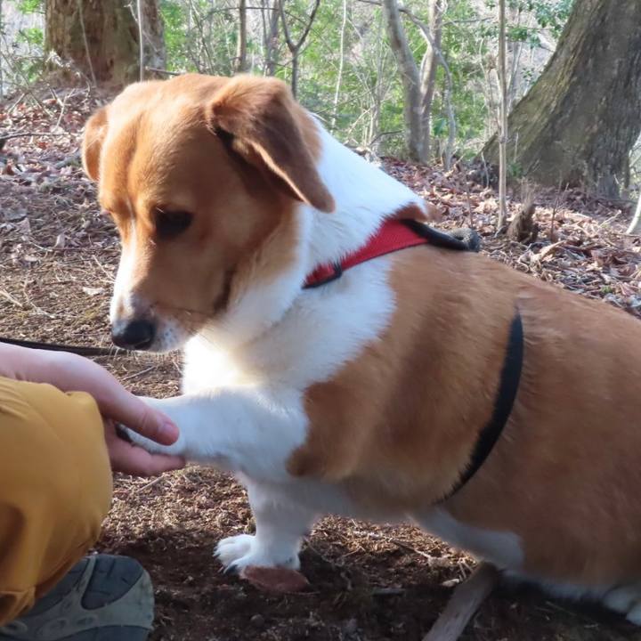 Ae0c6d0e 8008 4029 9212 9062e45c1a4b 1679035800774