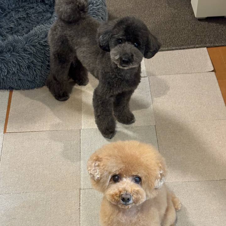 Ae0c85a6 5293 4c24 9b6f ab23257d6c10 1703833467481