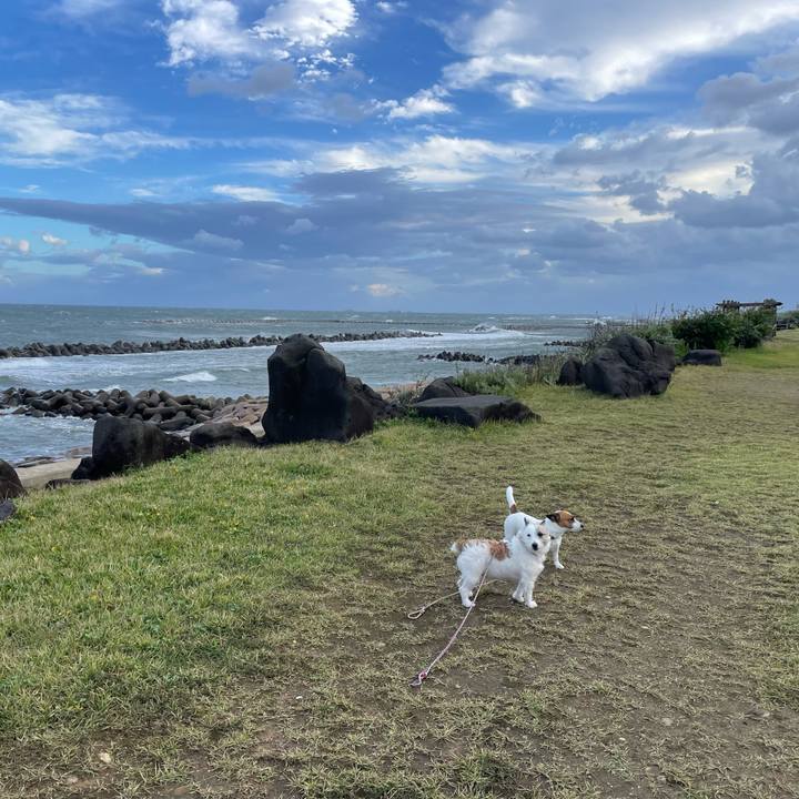 Ae0c9650 7133 4dd4 bc4c 9c7185079d8a 1665443426070