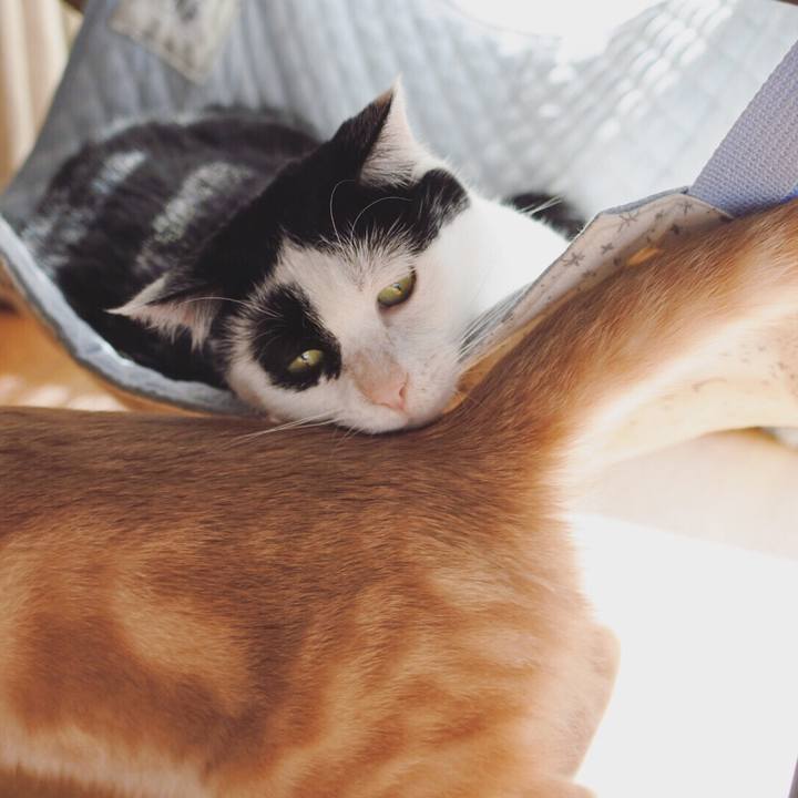 Ae0cdbe0 03f1 4d32 a676 c512a7853031 1553157370266