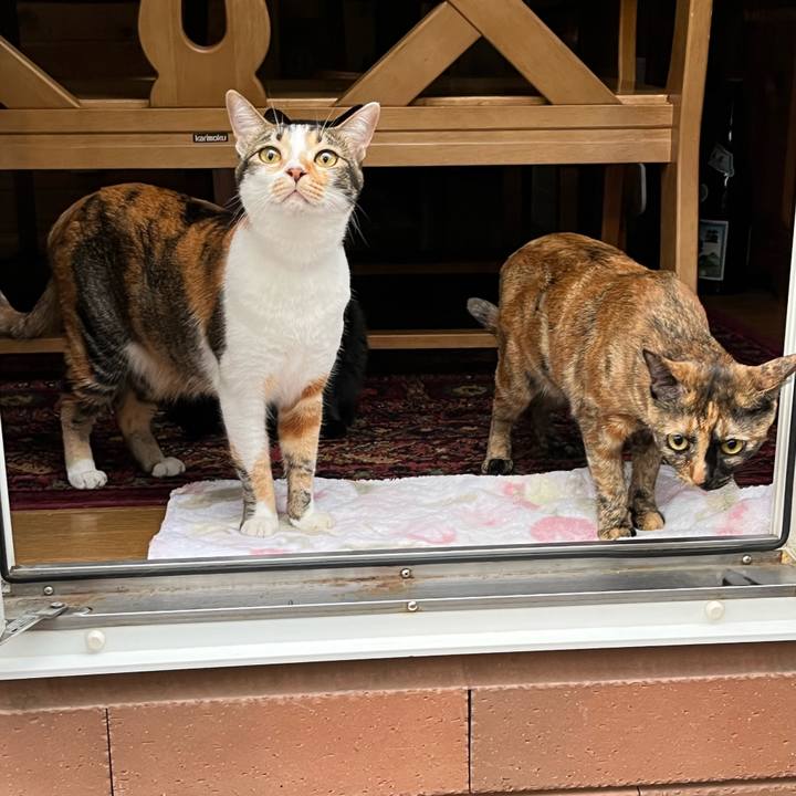 Ae0cddcf 9062 4d0d 8f5b 567068be7ec1 1660254538547