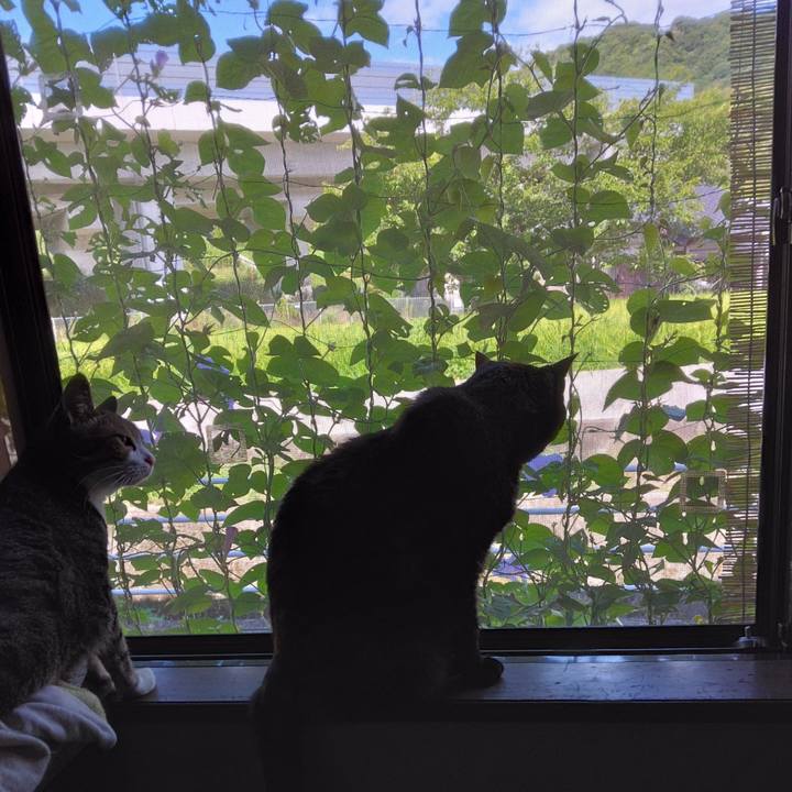 Ae0ce642 b51e 4942 9e1b 29bc76dd8e1b 1660176097127