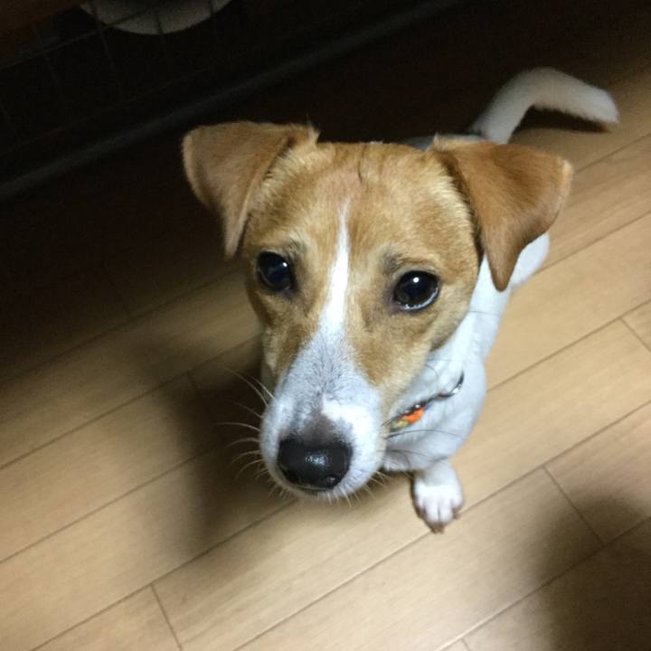 Ae0ce713 b257 49b8 b219 1e0fd57197e0 1509186703102