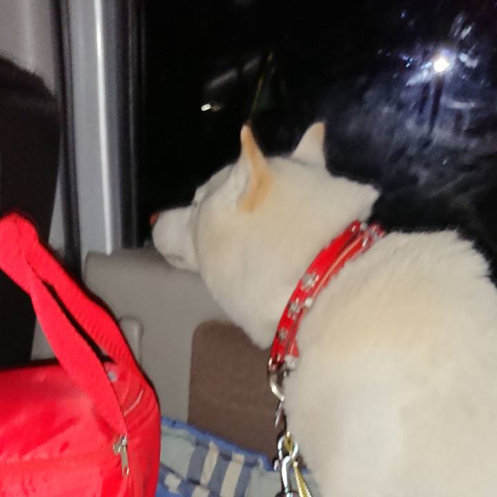 Ae0d0f24 a31b 4368 9d66 4c6b203660b4 1522235103007