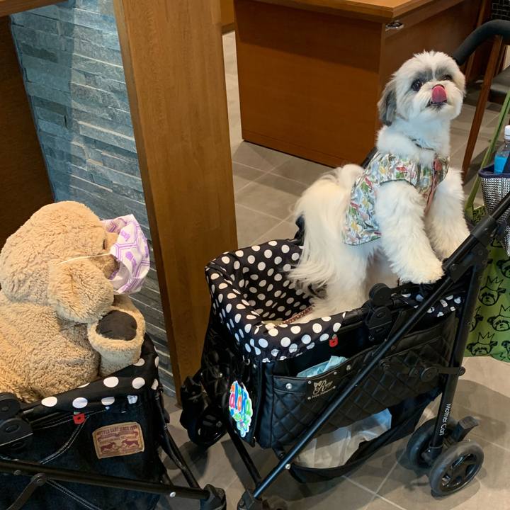 Ae0d11e7 0b08 4b57 839f 23443cc727f6 1598945133256