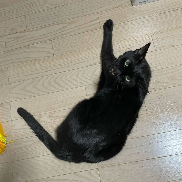 Ae0d2c7b 4893 457a a15a 63cc1992adf0 1747734283129