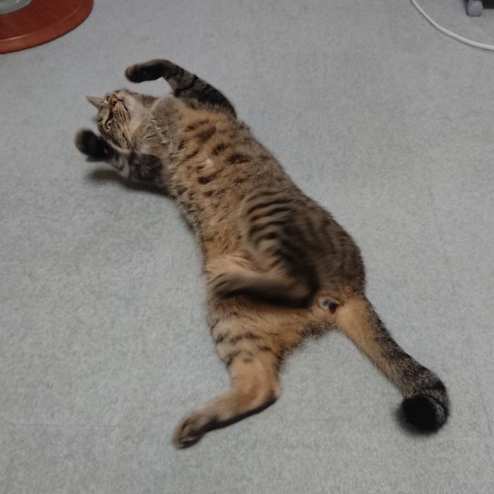 Ae0d2ee1 cfa6 4d60 a9d3 d629720cd47d 1564052245528