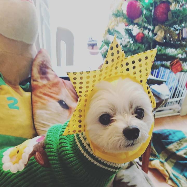 Ae0d37b6 2662 49c9 a739 2266025b2dd2 1577177011302