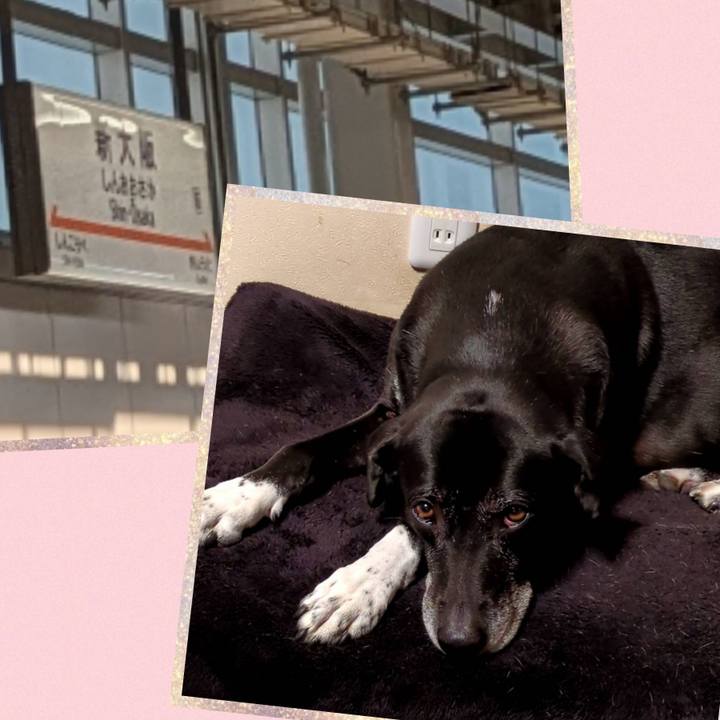 Ae0d4d62 16ee 423a a557 725d71a505f0 1734223098316