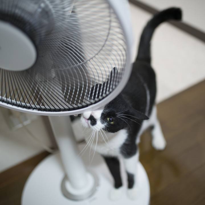 Ae0d675f 0450 4b14 ab66 6cd6521b91c1 1534847442523