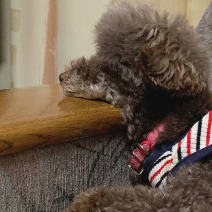 Ae0d7089 4252 4a9f bfce f32f9013df71 1649764116201