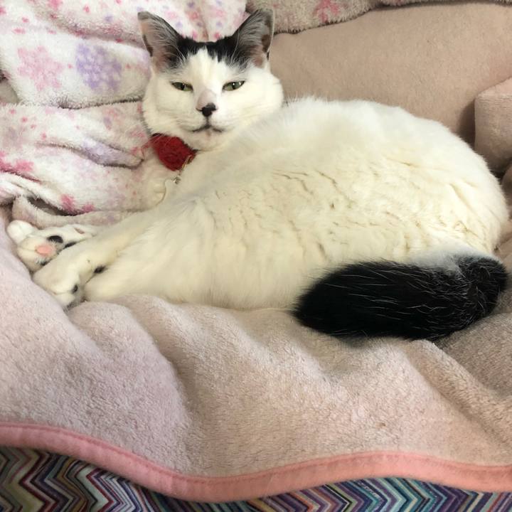 Ae0d9a0f 2659 4acd b064 4454a1f9a484 1524007369362