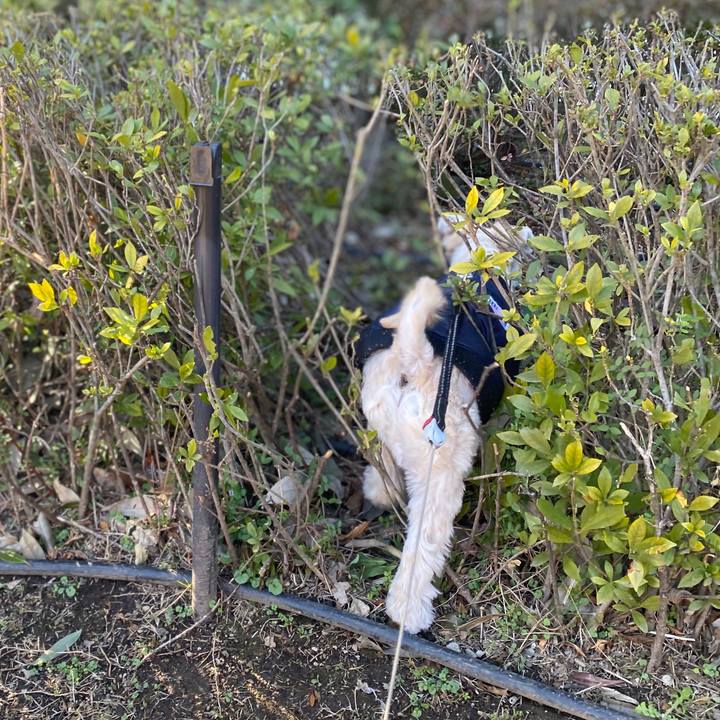 Ae0dee23 8f60 4984 b4bf e7aae41e9f56 1578650608458