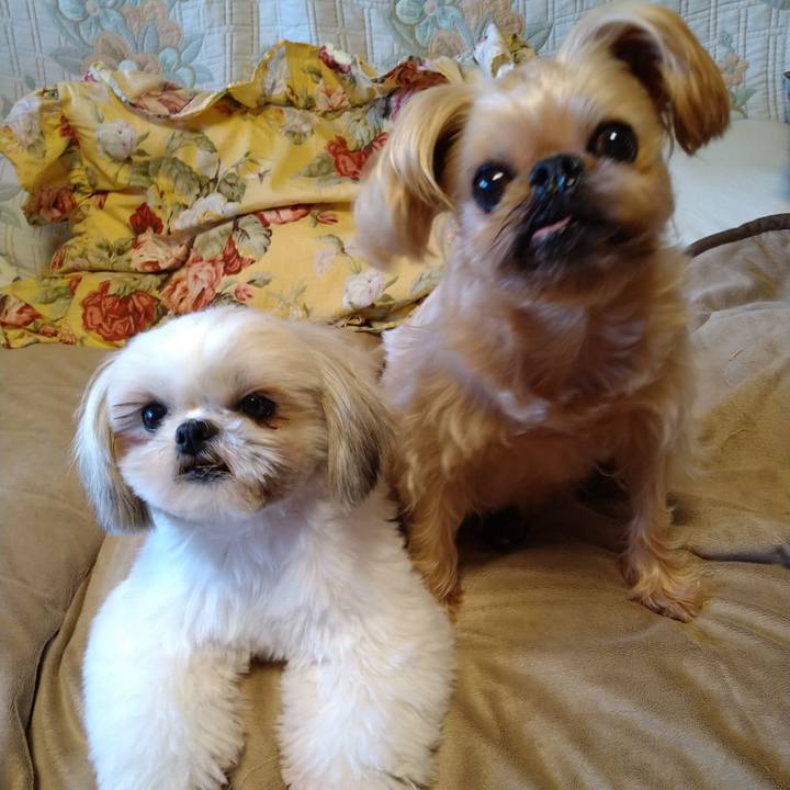 Ae0dffb4 00ad 4340 9037 9716209a1d9f 1612569746699