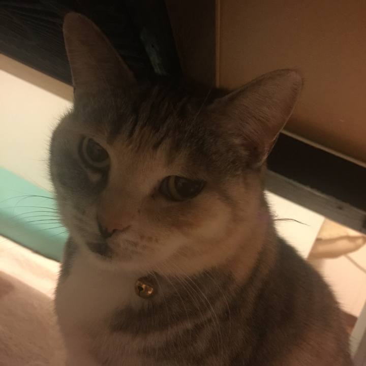 Ae0e3eaa e391 44c1 b135 7069e3ebbc69 1550157806631