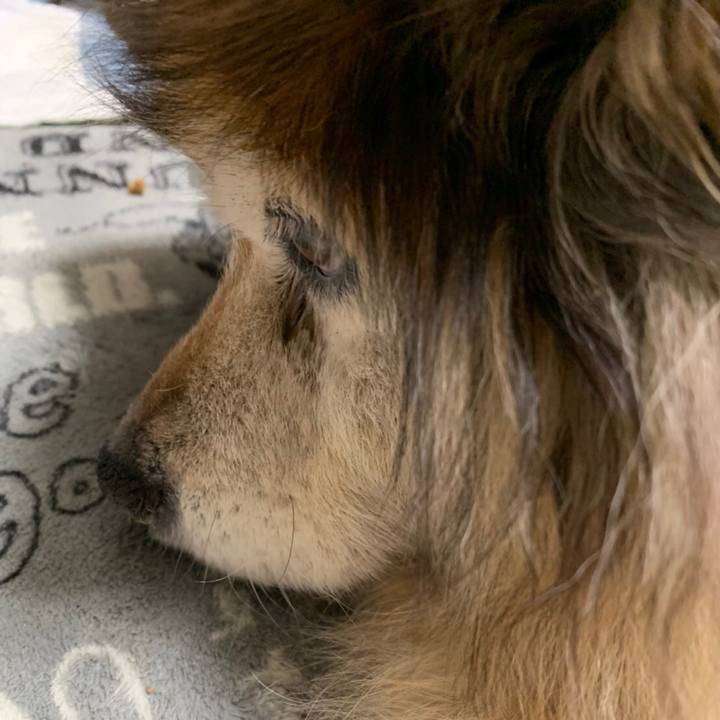 Ae0e7b87 5f64 4484 ac2f 5ddc129912f9 1554796796946